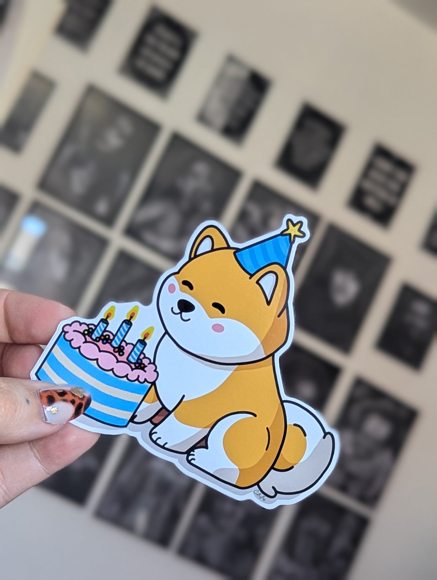 Birthday shiba